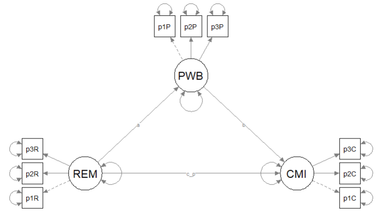 Image of the proposed alternative – a simple mediation that swaps PWB and CMI