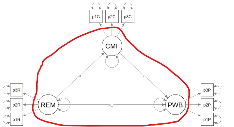 The structural portion of the model is circled in red.