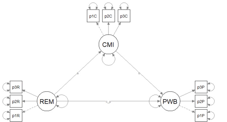 Image of the proposed statistical model – a simple mediation that will be tested with structural equation modeling