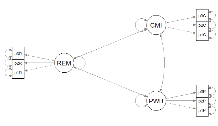 Image of another proposed alternative – a simple mediation that swaps PWB and CMI