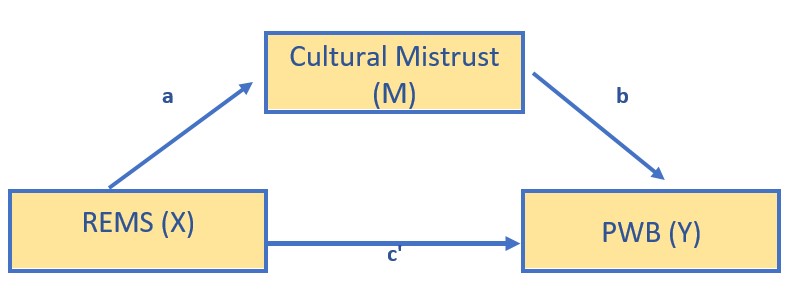 Image of the simple mediation model from Kim et al.