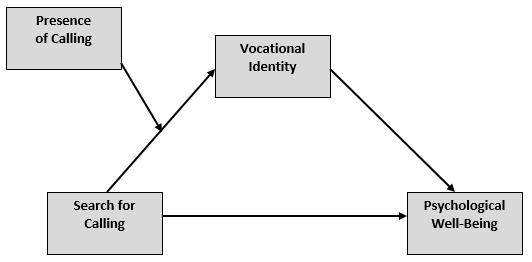 Screenshot of a moderated mediation involving the variables search and presence of calling, vocational identity, and psychological well-being