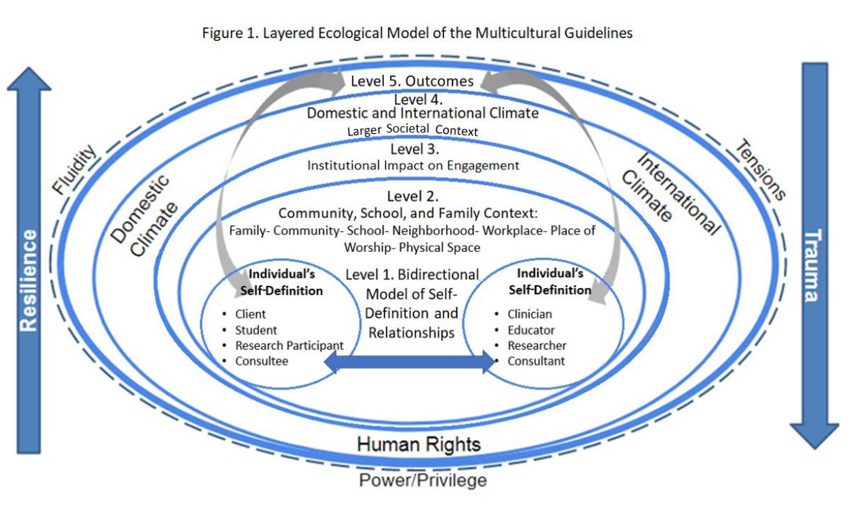 Image of the layered ecological model from the 2017 Multicultural Guidelines