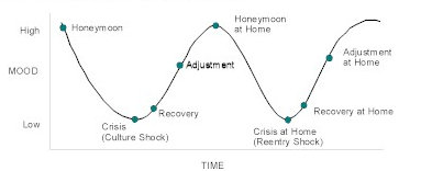 A sketch of the culture shock model